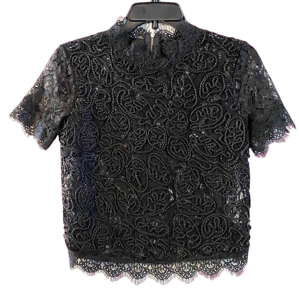 Zara Embroidered Lace Trim Short Sleeve Sheer Black Top Small Glam Top